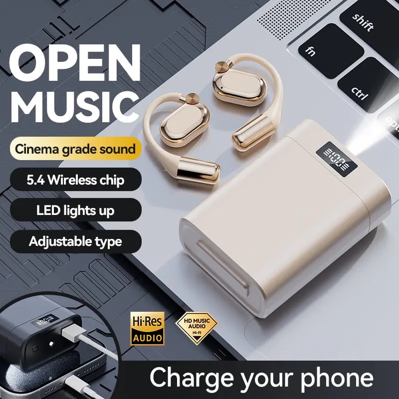 2-in-1 Bluetooth Earphones/Power Bank