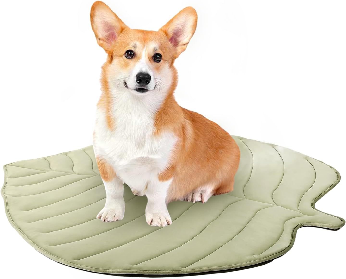š§Dog Cooling Mat (4x more effective)