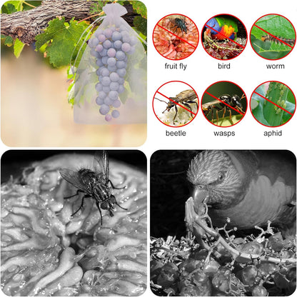 🔥 Insect and Bird-Proof Fruit Protection Bags