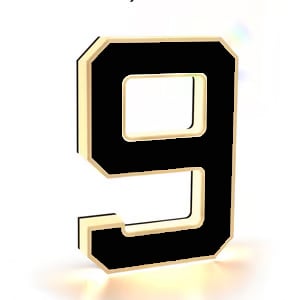 🔥Hot Sale 🎁✨ 9-inch Lighted House Numbers for Outside