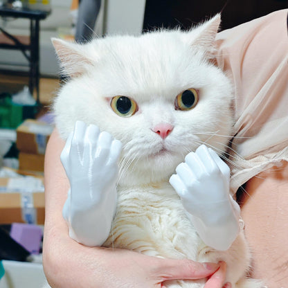 Pet Muscle Arms Costume for Cats