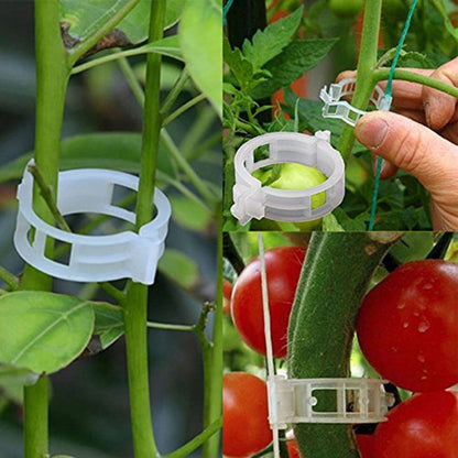 (🔥HOT SALE NOW 49% OFF) - Plant Support Clips