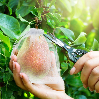 🔥 Insect and Bird-Proof Fruit Protection Bags