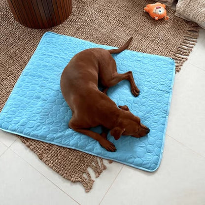 🧊Dog Cooling Mat (4x more effective)