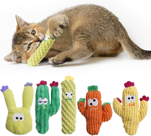 5-Pack Cactus Catnip Cat Toys – Organic Interactive Plush Toys for Indoor Cats