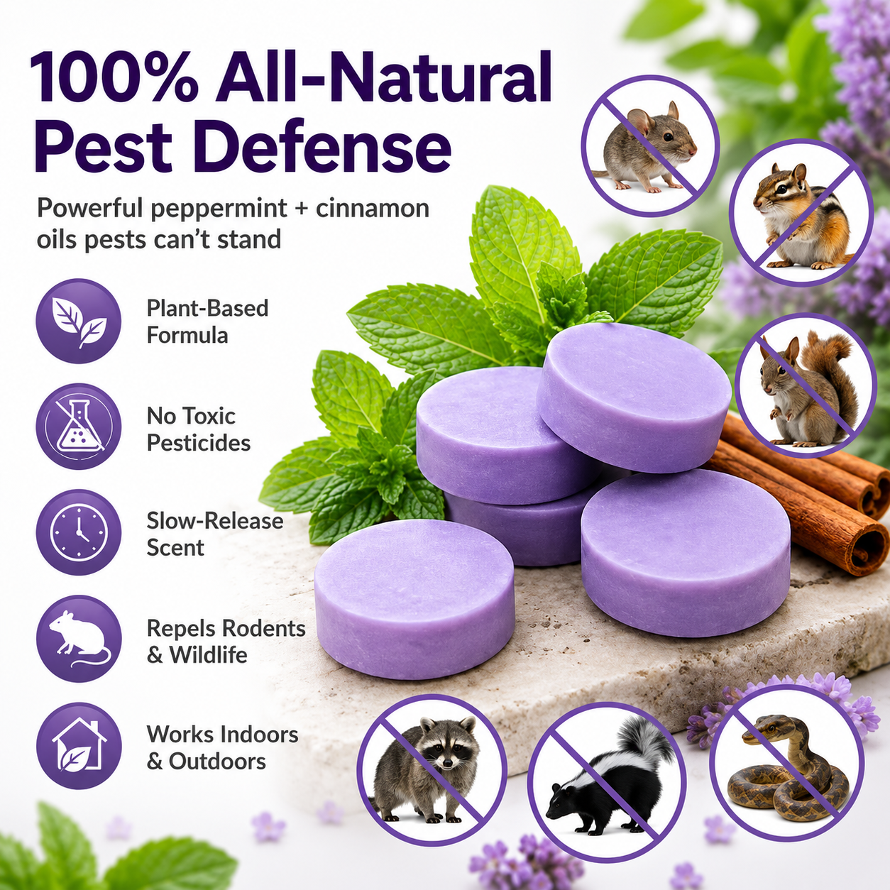 🐭 All-Natural Peppermint & Cinnamon Pest & Rodent Repellent Pucks 🕷️🐍