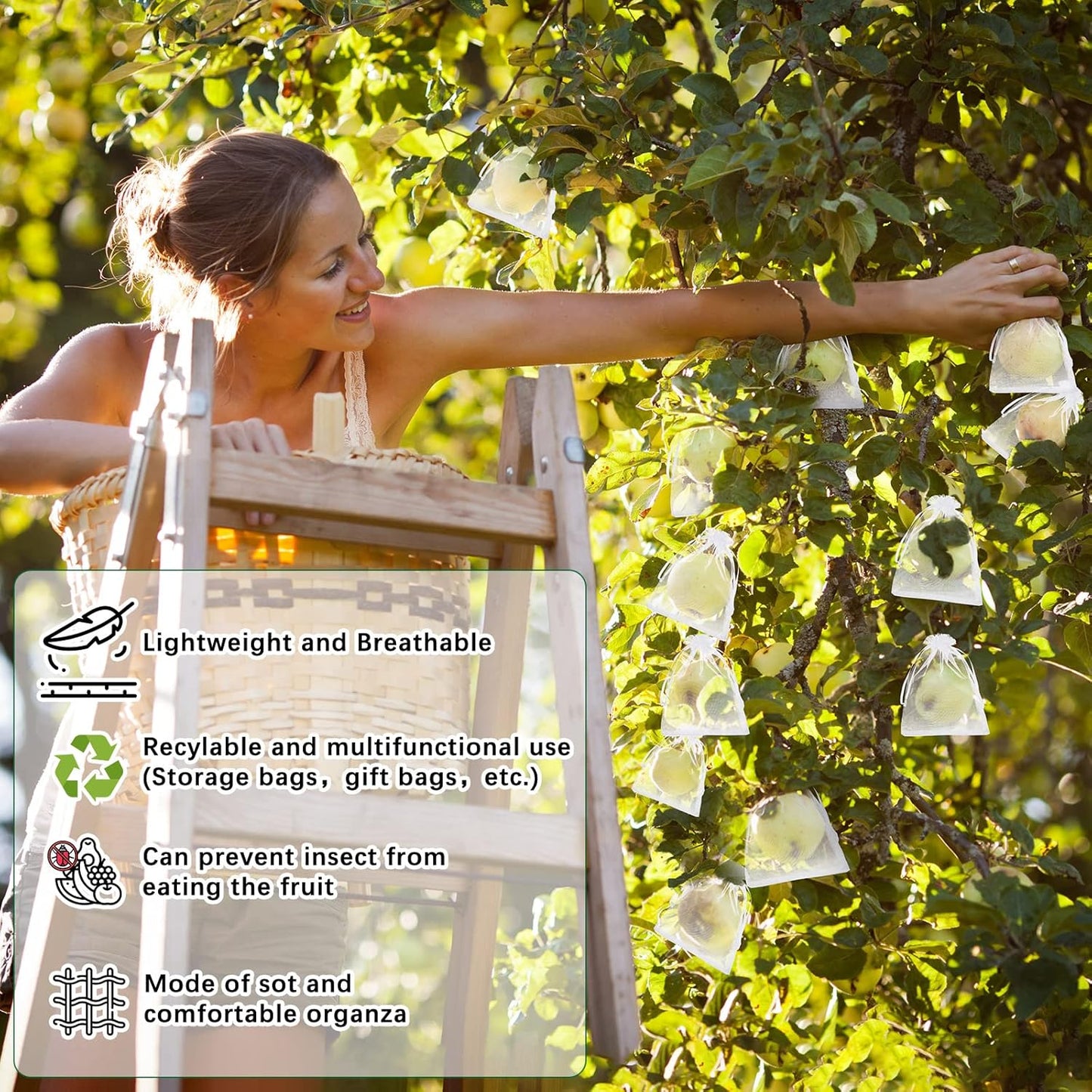 🔥 Insect and Bird-Proof Fruit Protection Bags