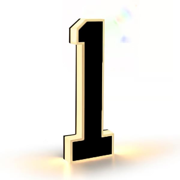 🔥Hot Sale 🎁✨ 9-inch Lighted House Numbers for Outside