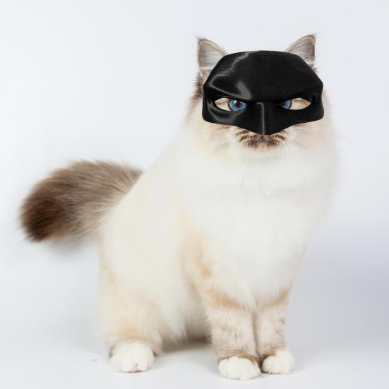 🎭Black Bat Cat Mask🐈 – Handmade Superhero Cosplay for Indoor Cats
