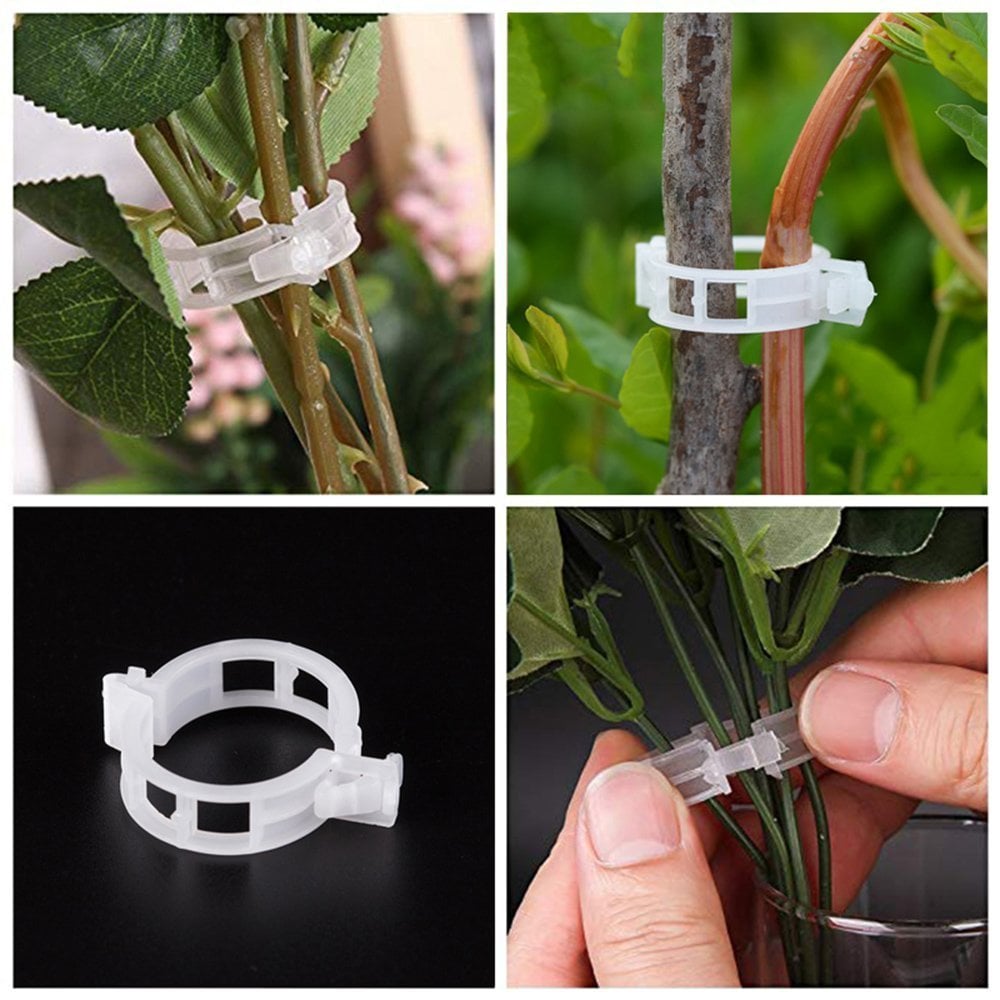 (🔥HOT SALE NOW 49% OFF) - Plant Support Clips