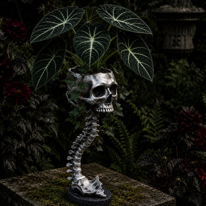 💀 🌿 Sculptured Skull Flowerpot