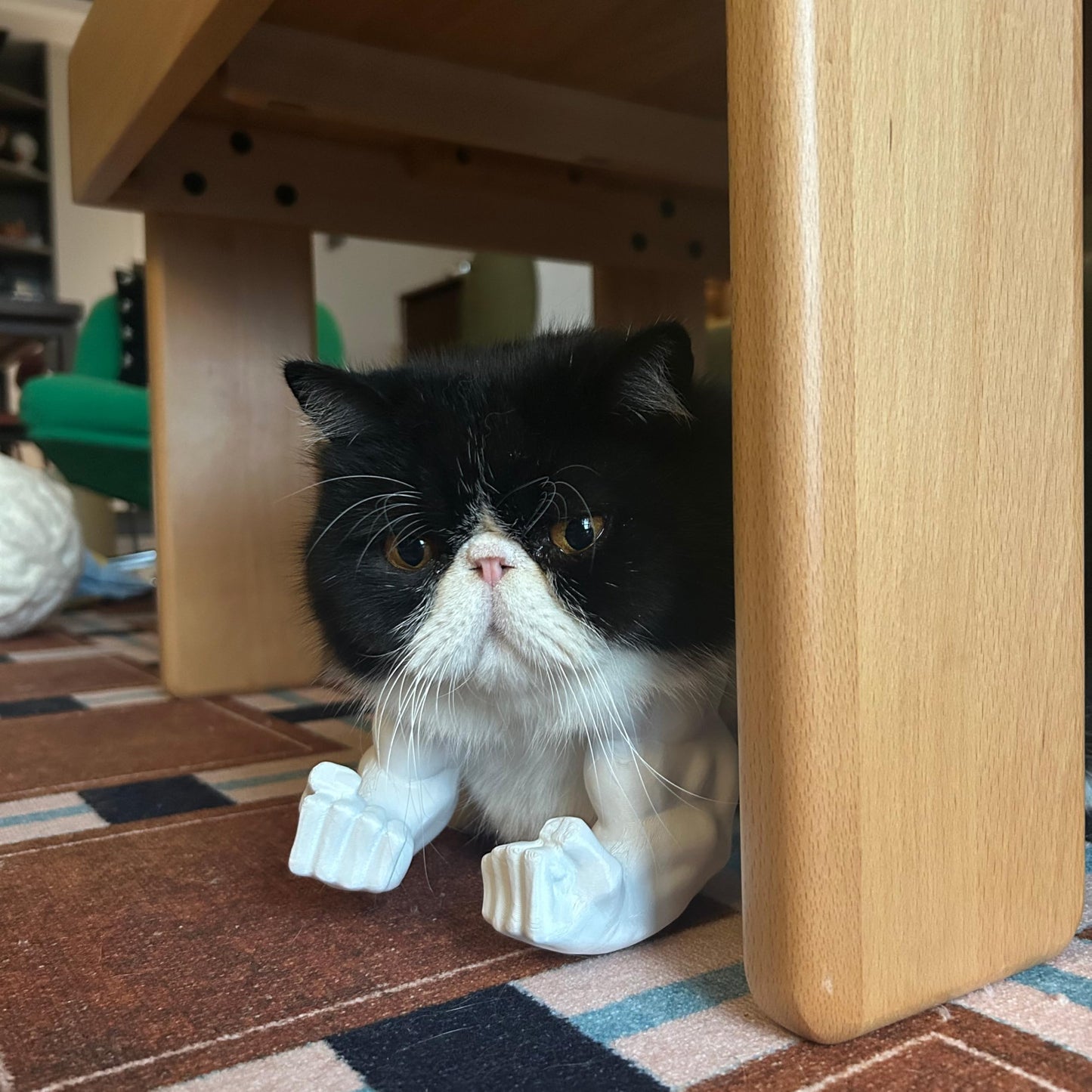 Pet Muscle Arms Costume for Cats