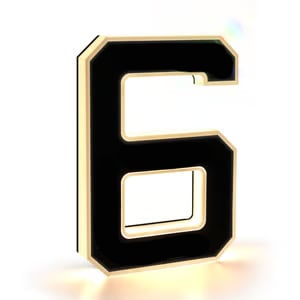 🔥Hot Sale 🎁✨ 9-inch Lighted House Numbers for Outside