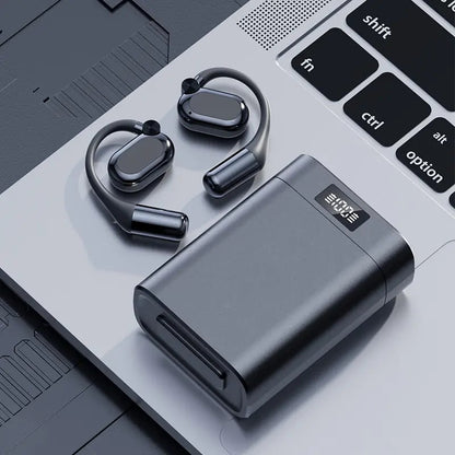 2-in-1 Bluetooth Earphones/Power Bank