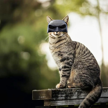 🎭Black Bat Cat Mask🐈 – Handmade Superhero Cosplay for Indoor Cats