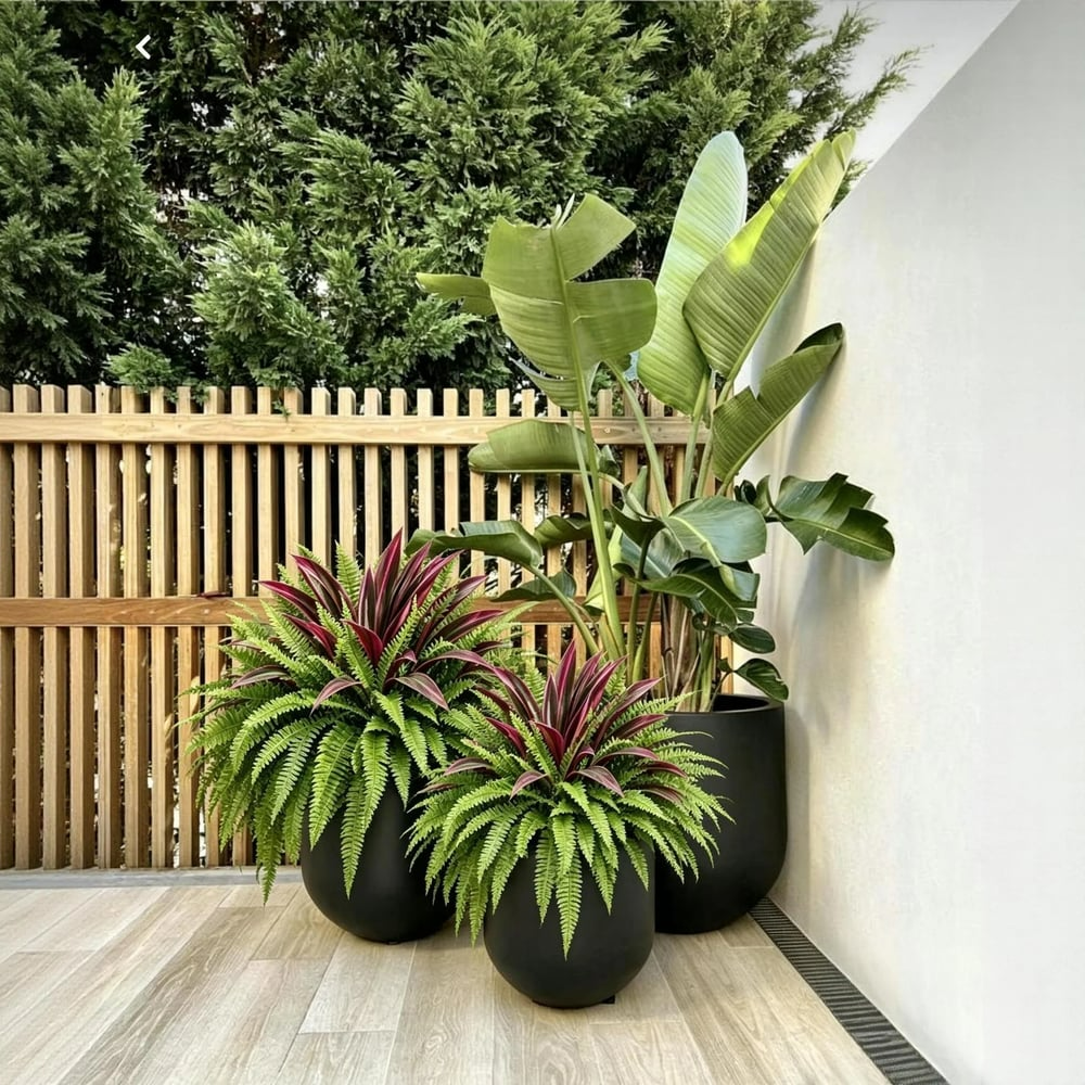 🔥LAST DAY SPECIAL 50% 🌿UV-Resistant Artificial Fern & Red Dracaena Decorative Plants – Full, Lush & Fade-Resistant!