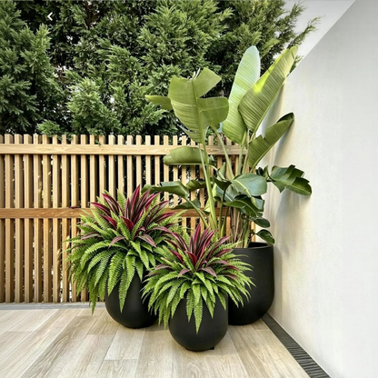 🔥LAST DAY SPECIAL 50% 🌿UV-Resistant Artificial Fern & Red Dracaena Decorative Plants – Full, Lush & Fade-Resistant!