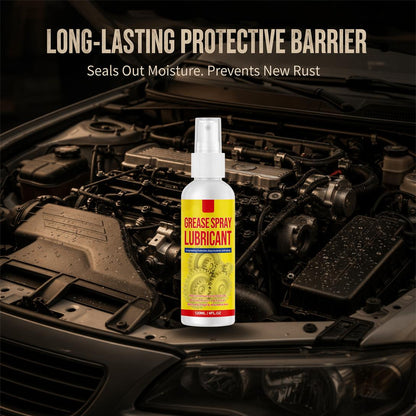 Anti-Rust Lubricant Spray & Rust Remover