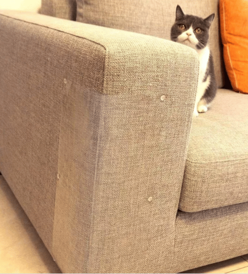 🔥Sturdy Seamless - Furniture Protector
