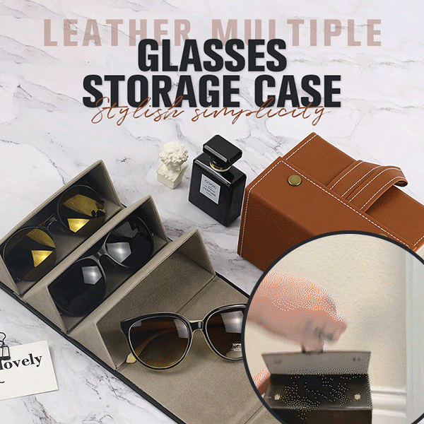 🕶️Sunglasses Organizer—Folding Glasses Jewelry Storage Case