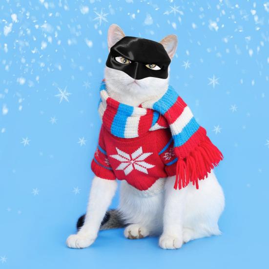 🎭Black Bat Cat Mask🐈 – Handmade Superhero Cosplay for Indoor Cats