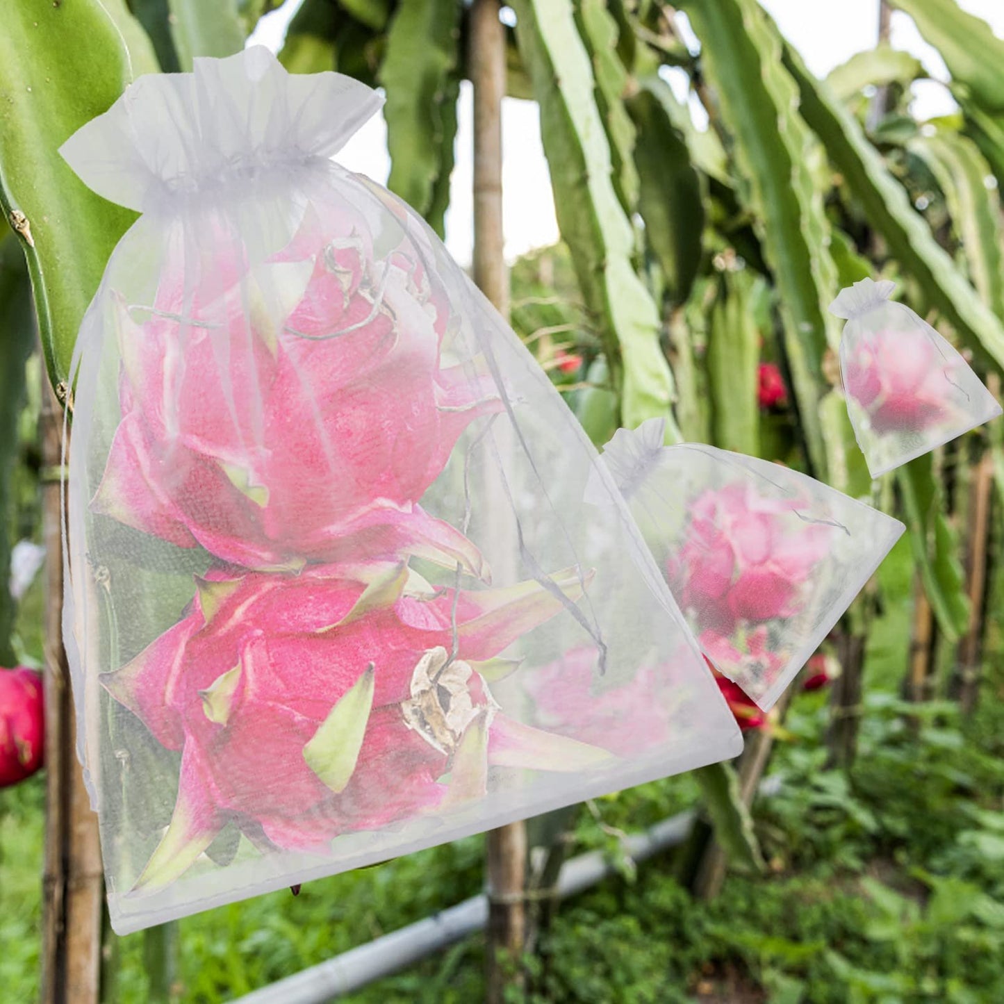 🔥 Insect and Bird-Proof Fruit Protection Bags