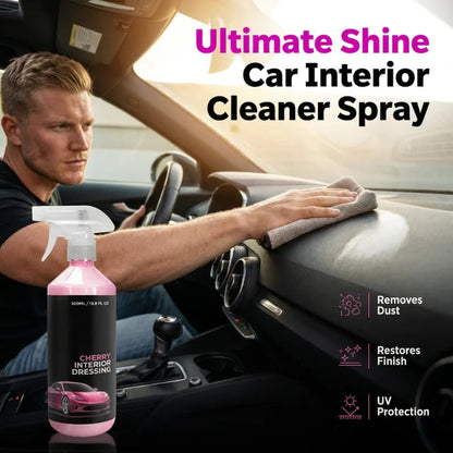 Multi-Surface Car Interior Cleaning Spray