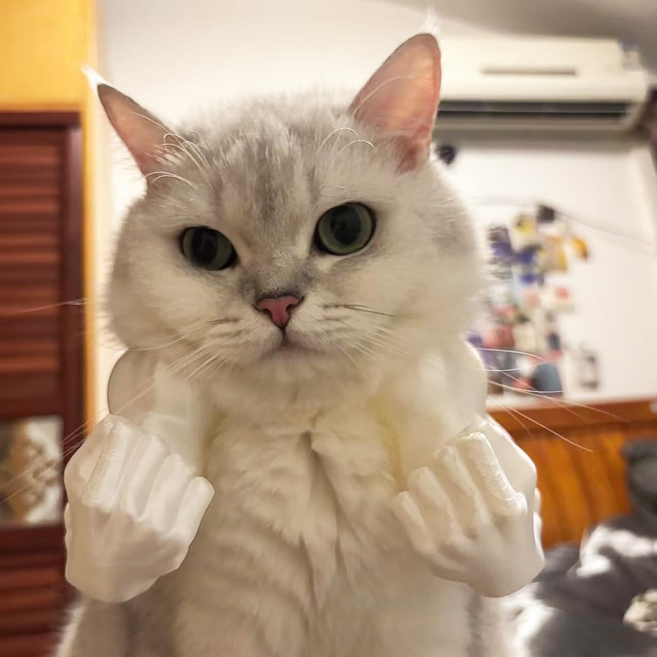 Pet Muscle Arms Costume for Cats