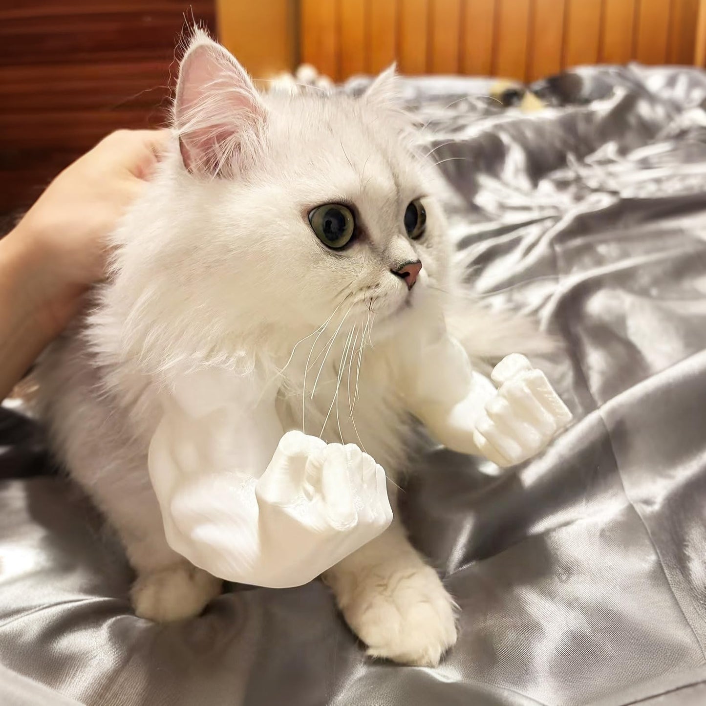 Pet Muscle Arms Costume for Cats