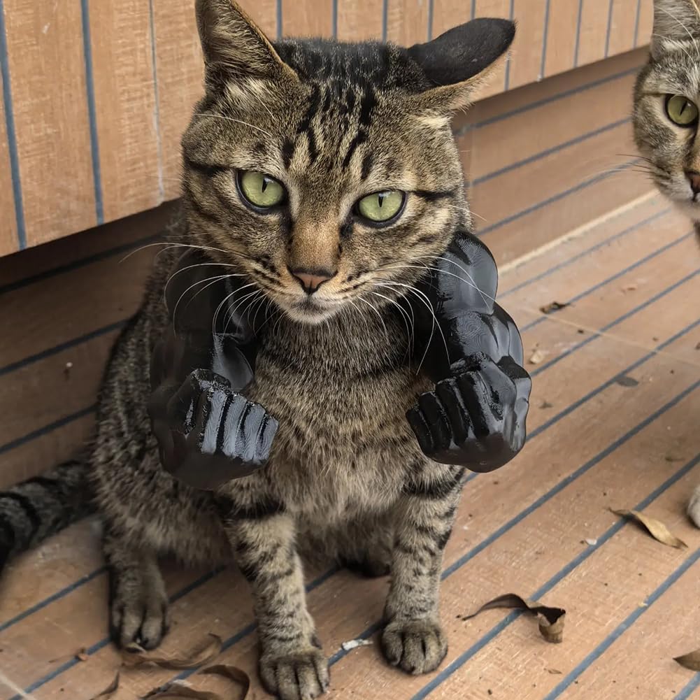 Pet Muscle Arms Costume for Cats