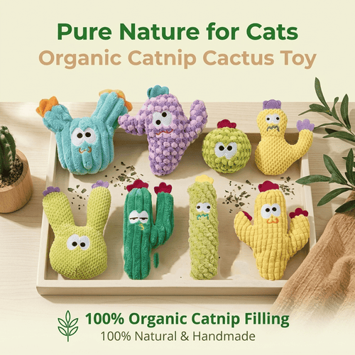 🔥5pcHandmade Soft Cactus Kitten Chew Toys with Natural Catnip