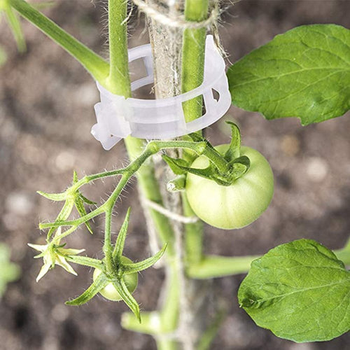 (🔥HOT SALE NOW 49% OFF) - Plant Support Clips