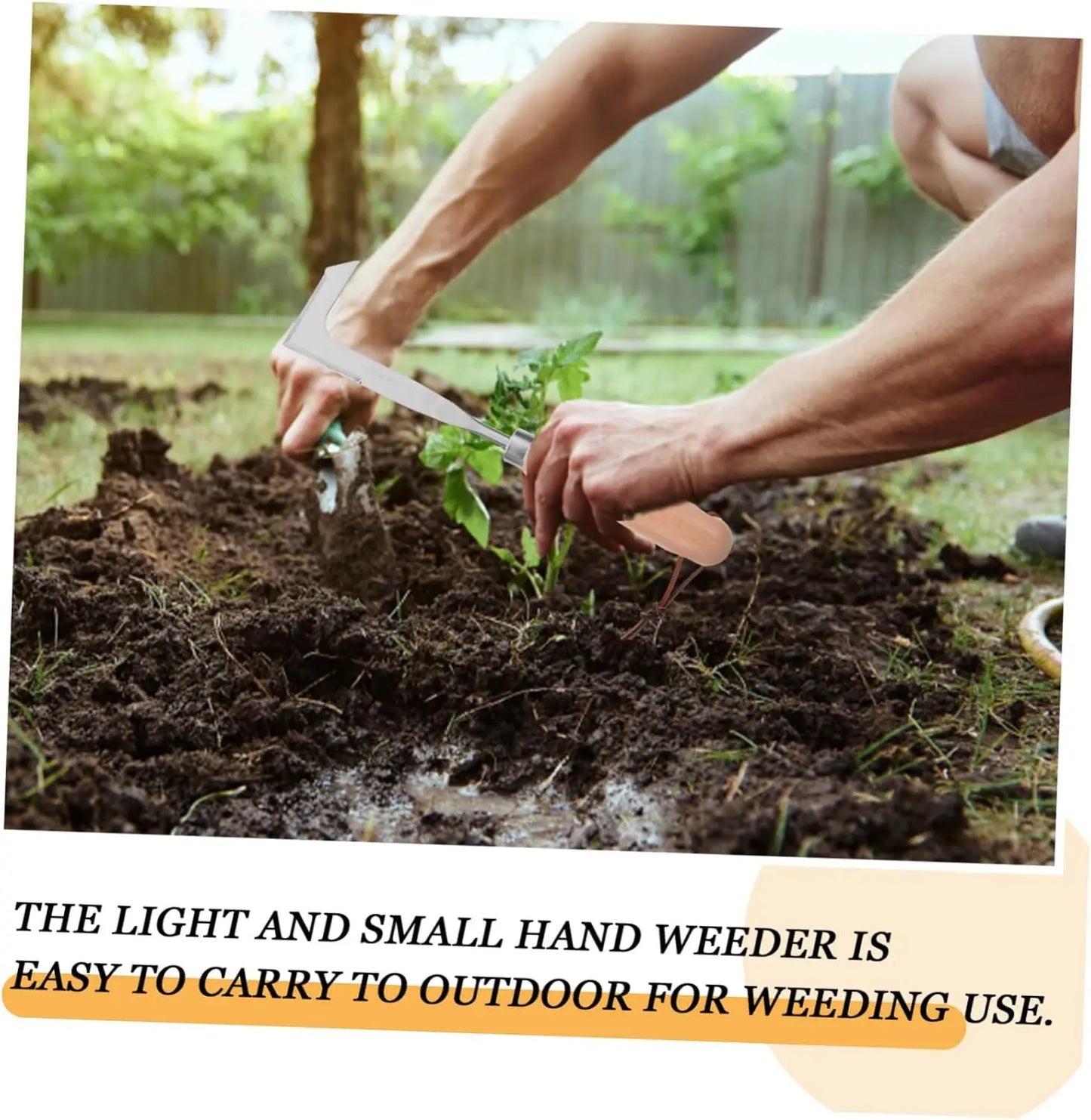 Stainless Steel Crack Weeder Tool 🌿