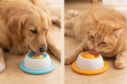 Lick & Roll Bowl 2.0