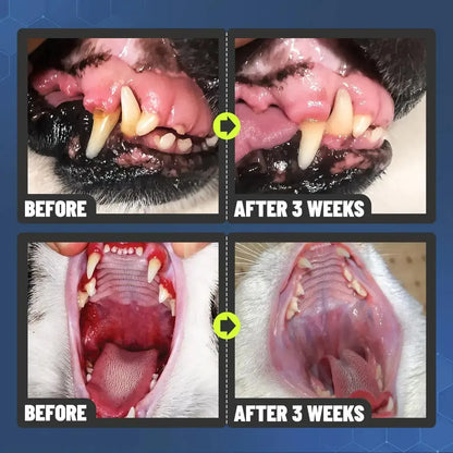 Pet Oral Cleaning Spray - Stop Bad Breath & Tartar at the Source