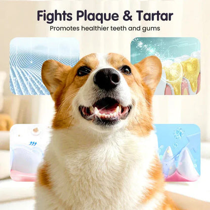 Pet Oral Cleaning Spray - Stop Bad Breath & Tartar at the Source