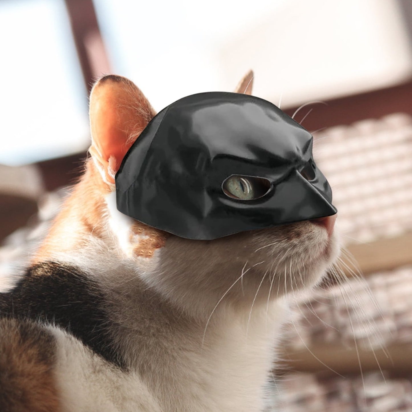 🎭Black Bat Cat Mask🐈 – Handmade Superhero Cosplay for Indoor Cats