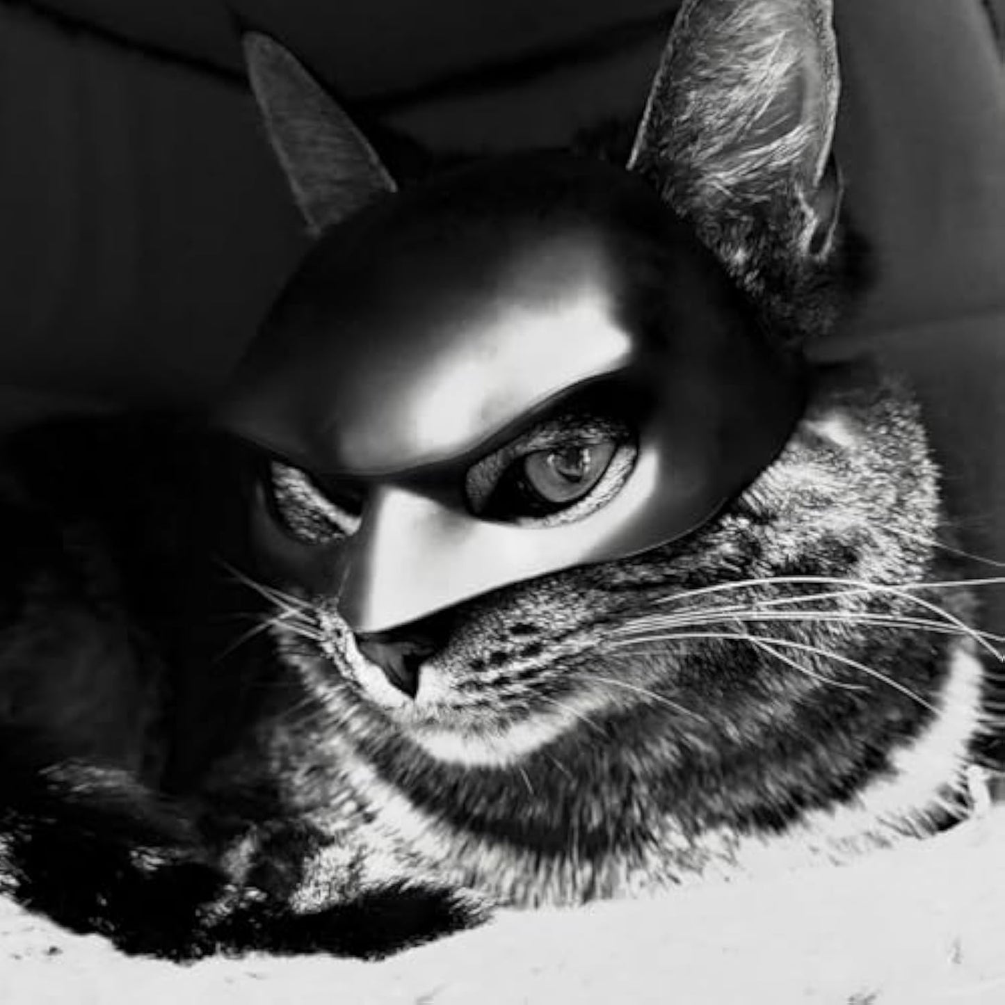 🎭Black Bat Cat Mask🐈 – Handmade Superhero Cosplay for Indoor Cats