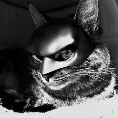🎭Black Bat Cat Mask🐈 – Handmade Superhero Cosplay for Indoor Cats
