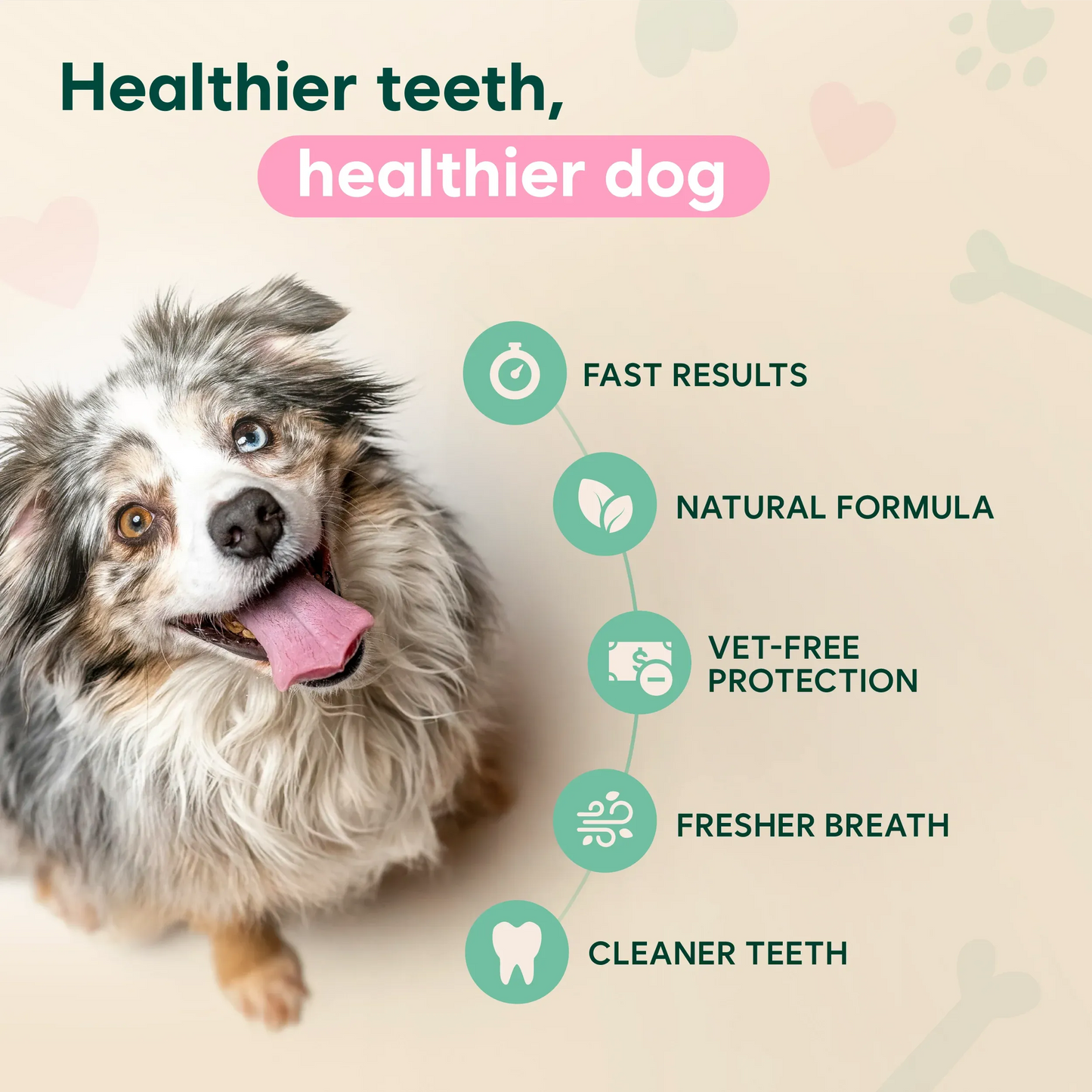 Pet Oral Cleaning Spray - Stop Bad Breath & Tartar at the Source