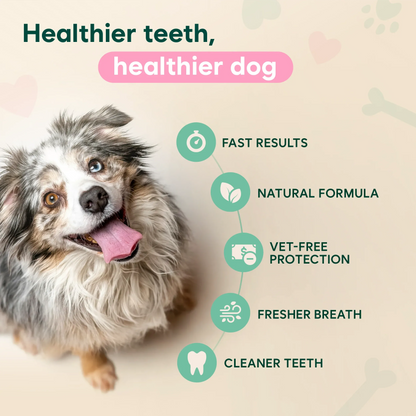 Pet Oral Cleaning Spray - Stop Bad Breath & Tartar at the Source
