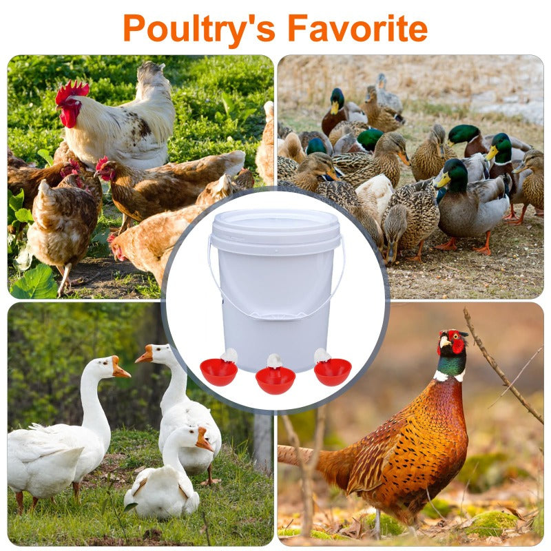 Self-Refilling Coop Waterer