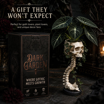 💀 🌿 Sculptured Skull Flowerpot
