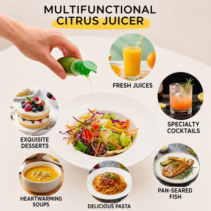 Multifunctional Manual Small Plastic Lemon Juicer For Home Use