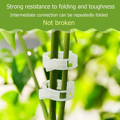(🔥HOT SALE NOW 49% OFF) - Plant Support Clips