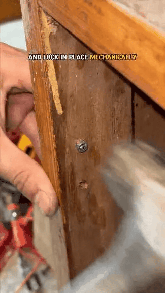 🔩 Juego de tornillos de expansión cortos de 6×14 mm para reparación de bisagras de gabinete y restauración de roscas dañadas
