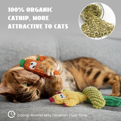 5-Pack Cactus Catnip Cat Toys – Organic Interactive Plush Toys for Indoor Cats