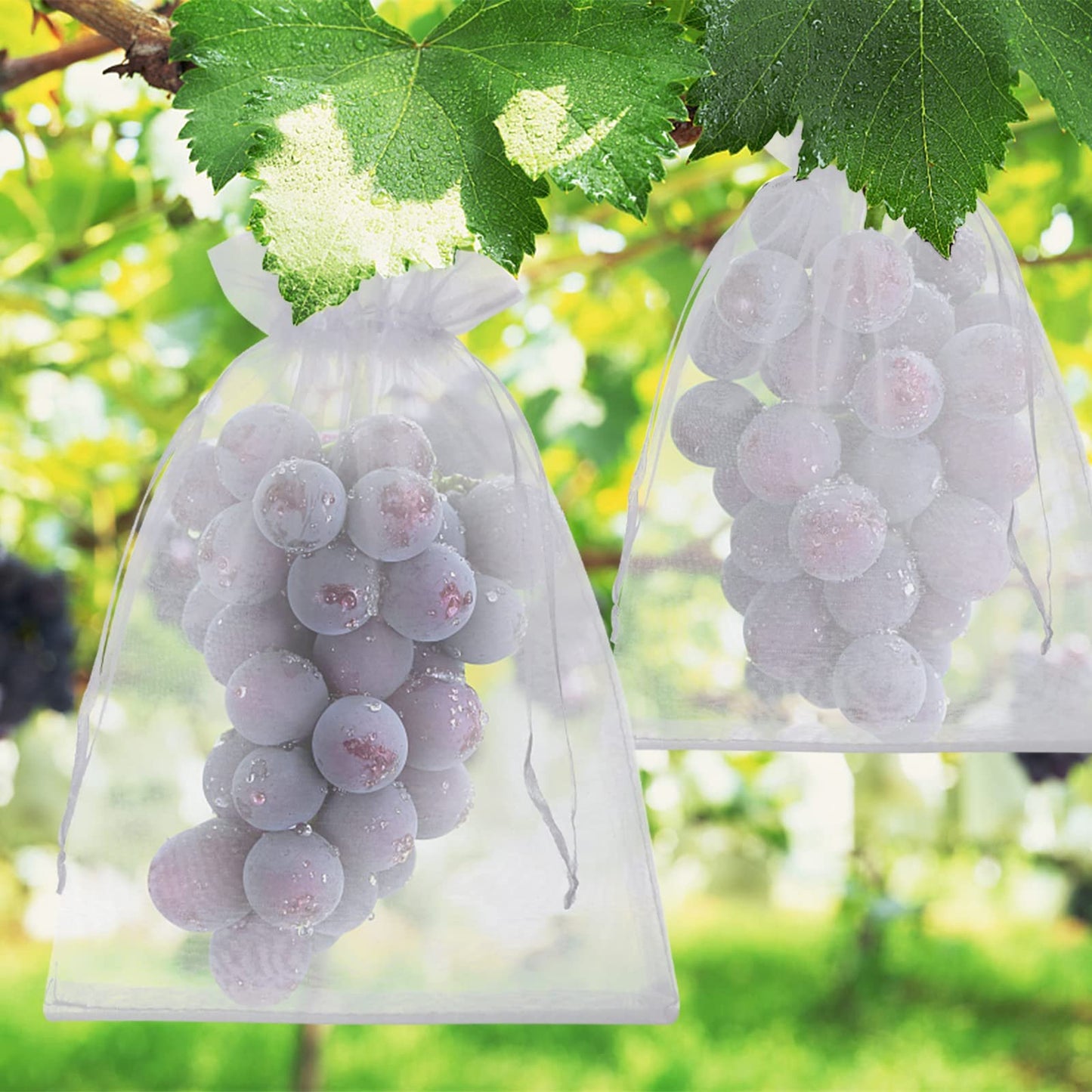 🔥 Insect and Bird-Proof Fruit Protection Bags
