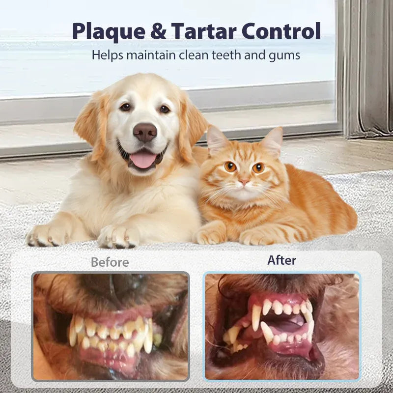 Pet Oral Cleaning Spray - Stop Bad Breath & Tartar at the Source