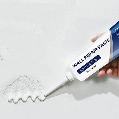 🏠Waterproof Wall Repair Paste